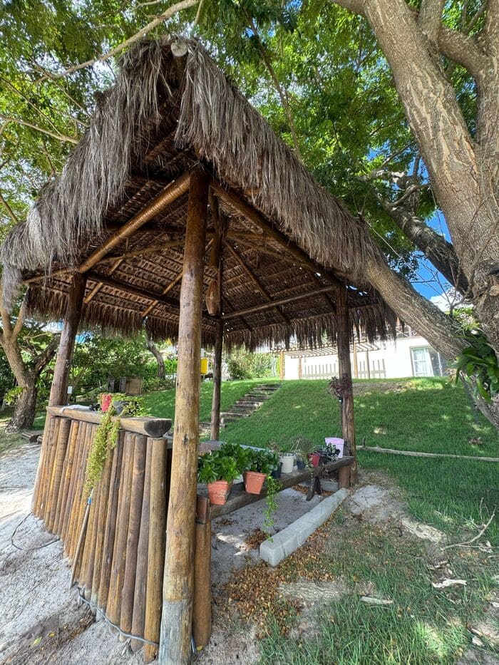 Imagem do WhatsApp de 2025-04-07 à(s) 17.43.39_bc578778